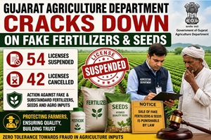 Gujarat Agriculture Department action against fake fertilizers and seed license suspension